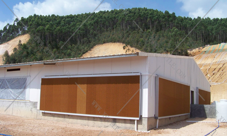 還在為廠房的墻體煩惱嗎？使用星發(fā)優(yōu)質墻體廠房塑料瓦