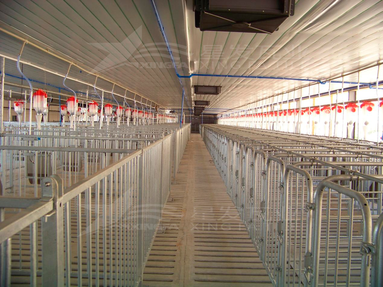 高溫來襲，養(yǎng)殖場(chǎng)安裝樹脂瓦，為小動(dòng)物營(yíng)造避暑勝地