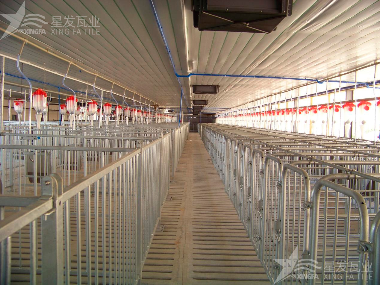 炎炎夏日即將來臨，為什么養(yǎng)殖場越來越多地選擇PVC瓦？