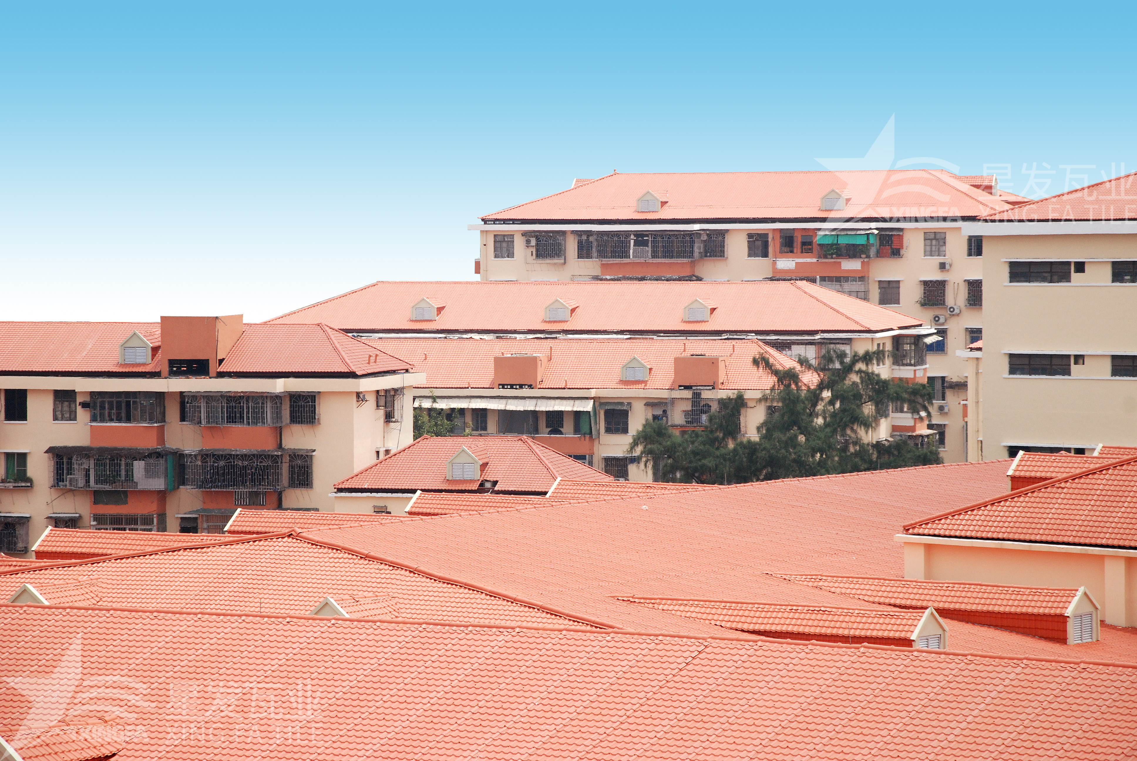 揭秘！居然還有人不知道合成樹脂瓦多少錢一方