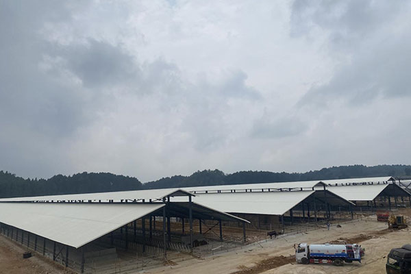 延長PVC瓦使用壽命的三大關(guān)鍵因素，千萬別忽視！