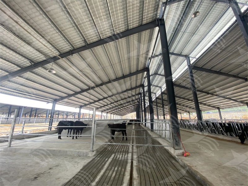 樹脂瓦：養(yǎng)殖場(chǎng)的夏日守護(hù)者，為小動(dòng)物打造涼爽樂園